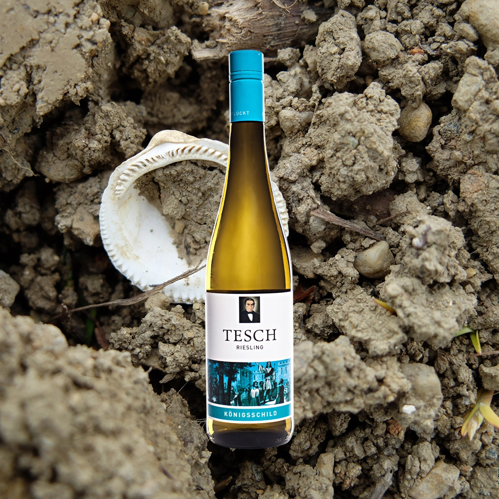 TESCH Königsschild Flasche auf Boden